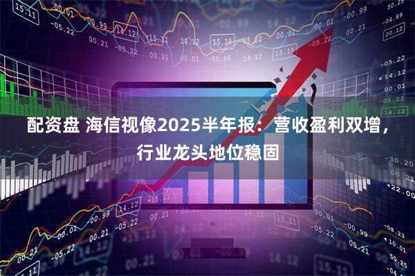配资盘 海信视像2025半年报：营收盈利双增，行业龙头地位稳固