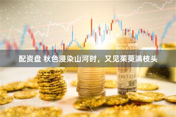 配资盘 秋色浸染山河时，又见茱萸满枝头