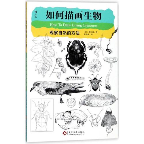 (日)盛口滿 著;柴季薇 譯 繪畫(新)藝術 新華書店正版圖書籍 文化發展